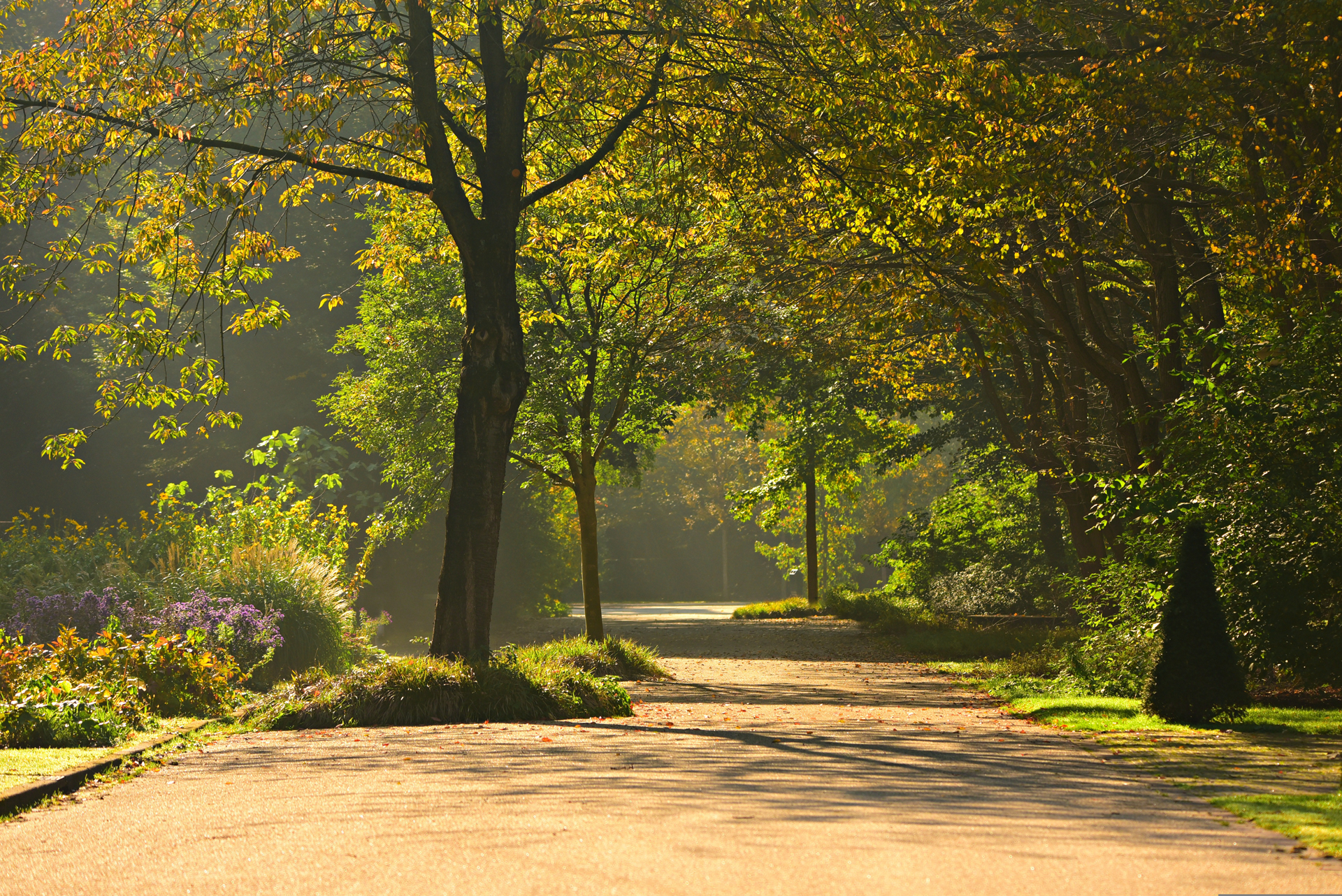 WG Zimmer Leipzig mieten