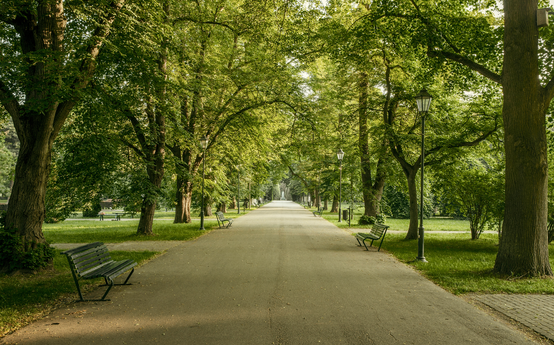 WG Zimmer Leipzig mieten